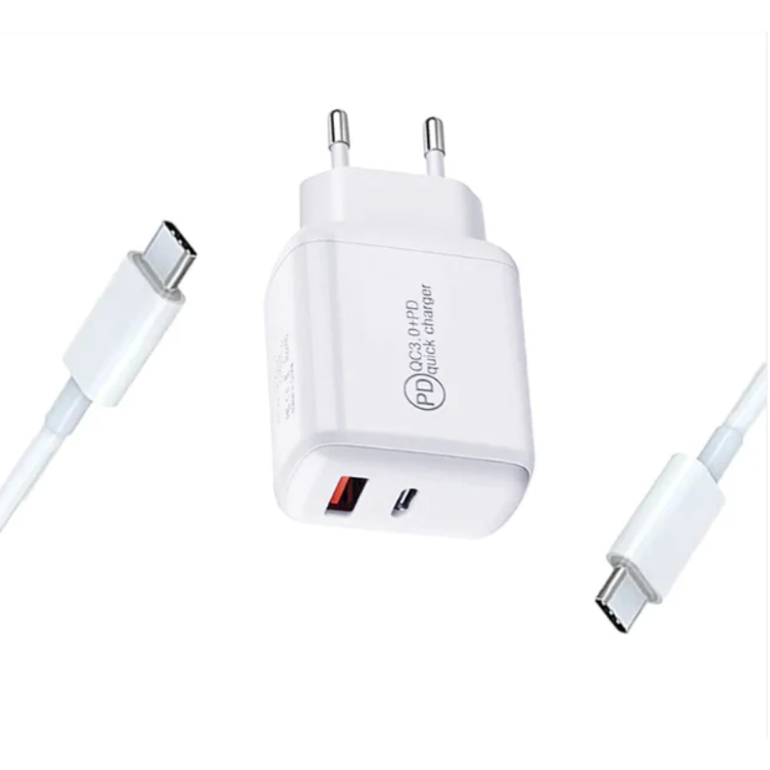 Maxon F-100 20w Charger