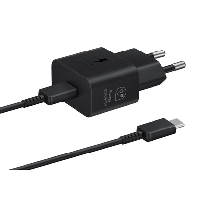 Samsung 25W Original Charger