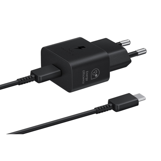 Samsung 25W Original Charger